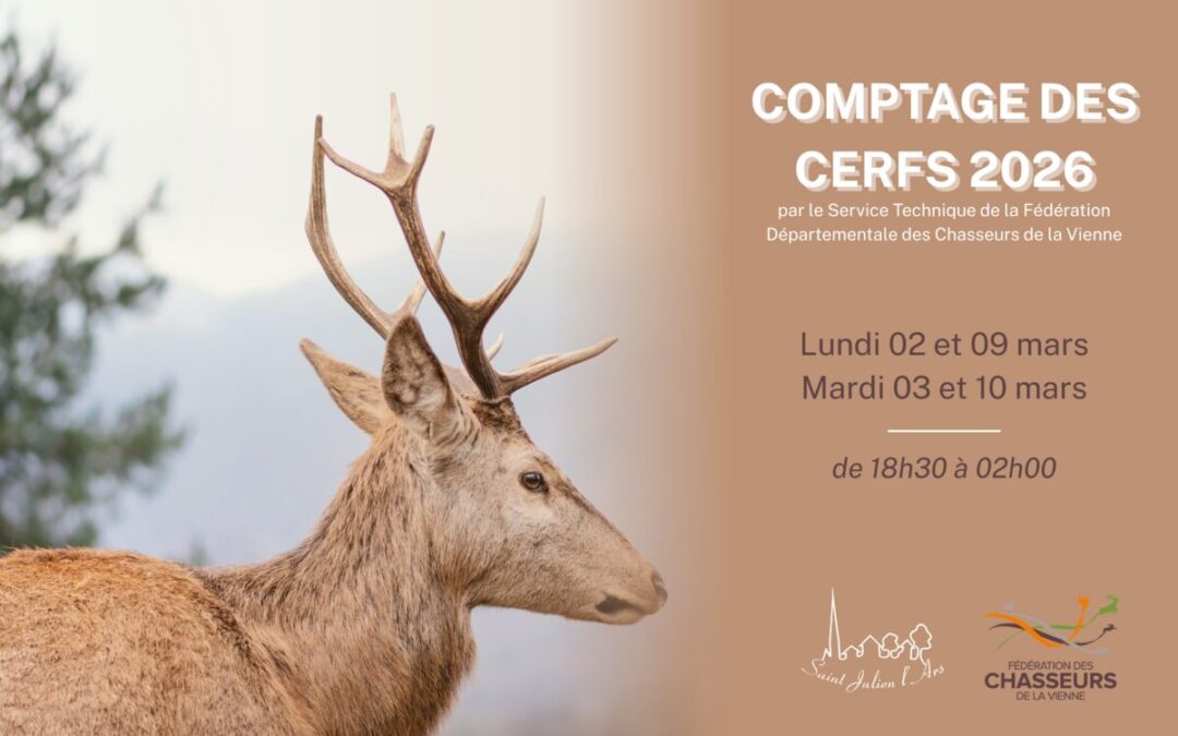 🦌 Comptage de cerfs